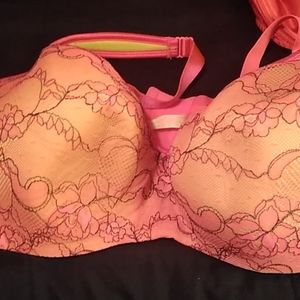 Cacique 42ddd
